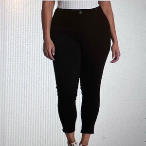 Democracy Ab-Tech Skinny Ankle Jeans (plus)